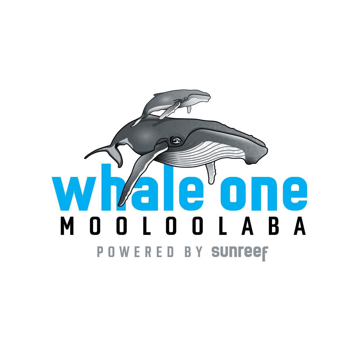 WhaleOne1