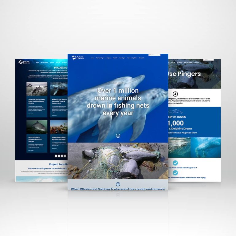 Future Oceans Website