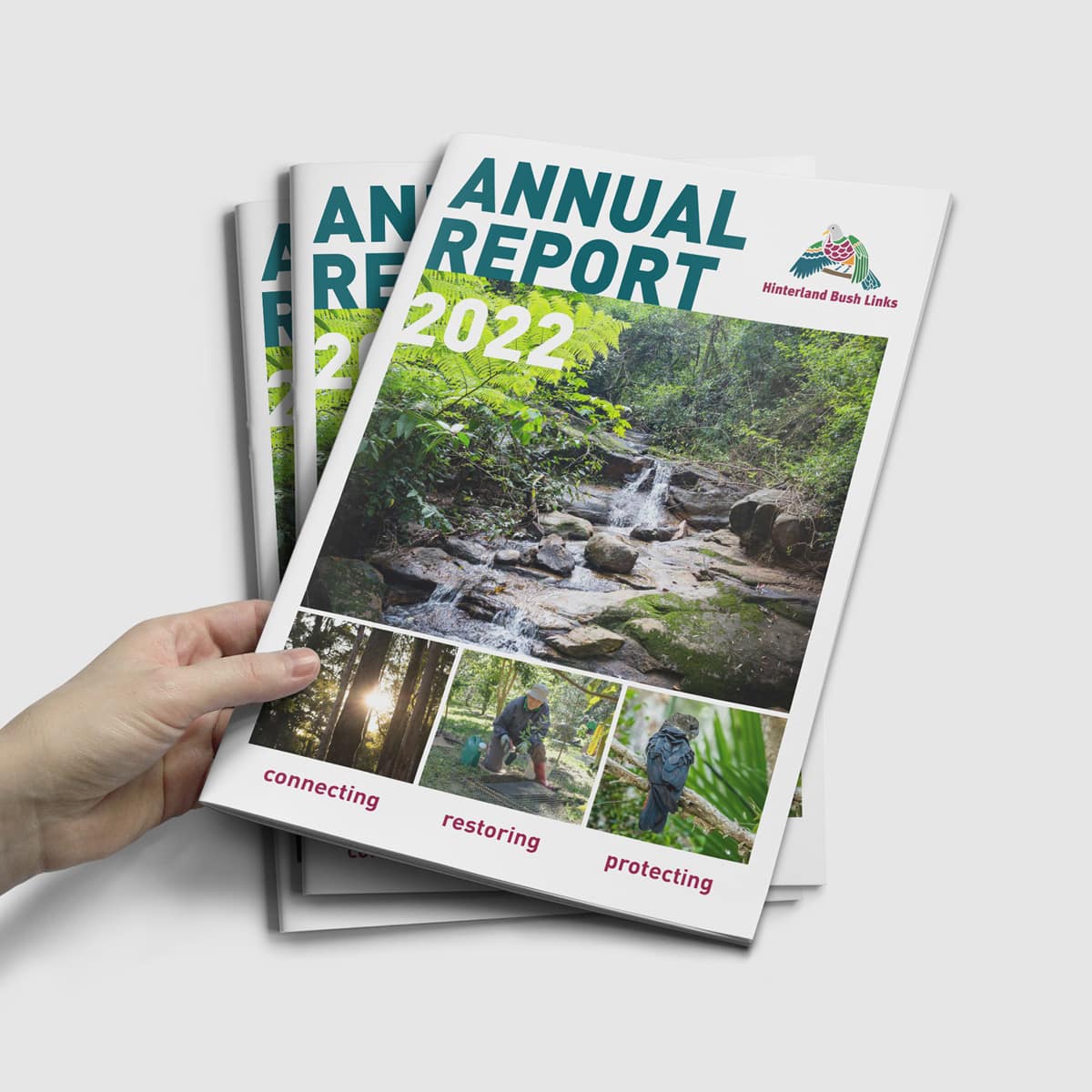 Hinterland Bush Links 2022 Annual Report